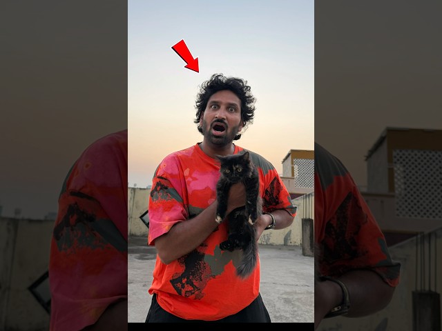 Entra Nuvu????#viralvideo #shorts #pets #petlover #comedy #funny #catvideos #gayazlee
