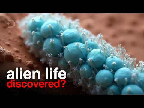 Life on Mars Confirmed? NASA Reveals Shocking Evidence