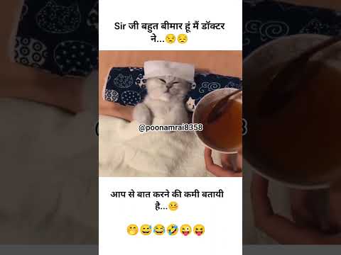 #sir जी बहुत बीमार हूं???????????????? #funny #catvideos #shortvideo