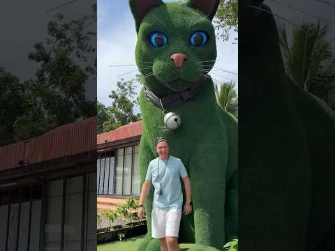 This cat is really alive!????????#funny #cats#catvideos#tiktok#social#usafunny#catlovers#funpage