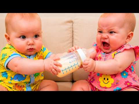 Try Not To Laugh: Funny Baby Fails ???? What Just Happened? | Funny babies and pets