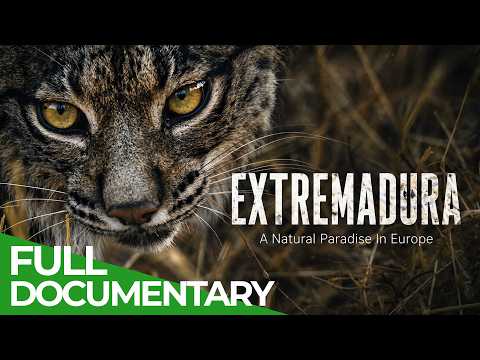 Extremadura: A Natural Paradise In Europe | Free Documentary Nature