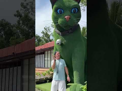 This cat is really alive! ???? #funny #cats #catvideos #tiktok #social #usafunny #catlovers #funpage