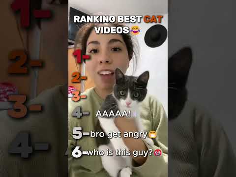Ranking Funniest Cat Videos!????‍⬛????