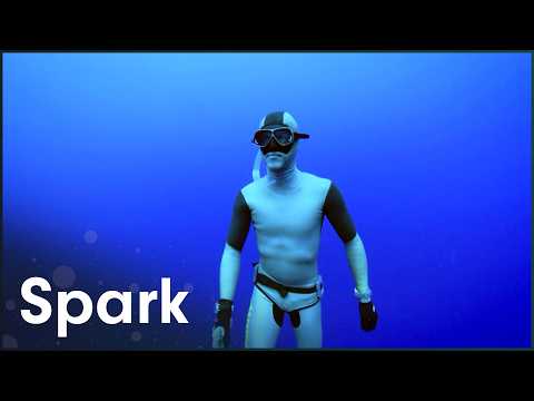 How This World Champion Diver Survives 9 Minutes Underwater