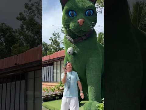 This cat is really alive! ???? #funny #cats #catvideos #tiktok #social #usafunny #catlovers #funpage