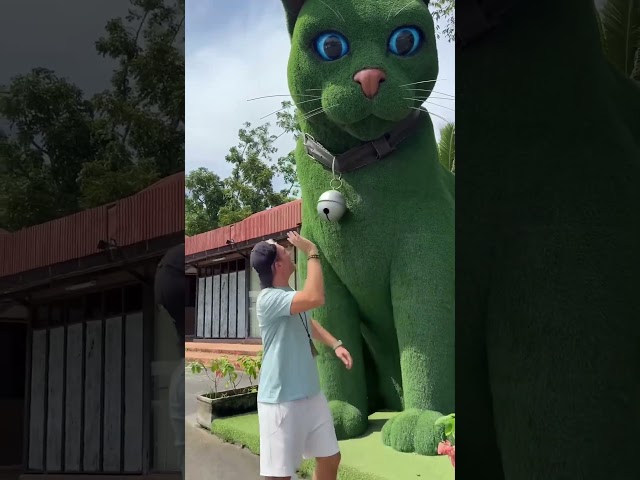 This cat is really alive!???? #funny #cats #catvideos #tiktok #social #usafunny #catlovers #funpage