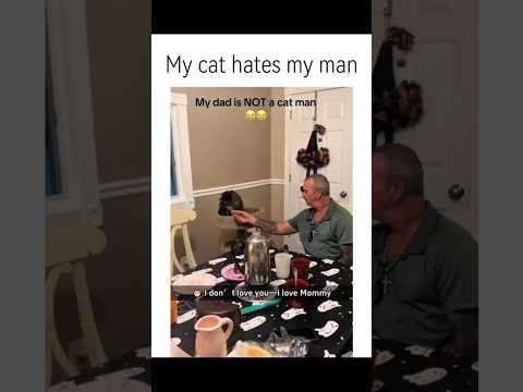 Funny cat videos part 9: My Cat Hates My Man ???? #funnycat #funnypet #cutecat #cat #cats #pets #shorts
