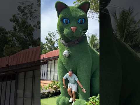 This cat is actually alive! ????#funny #cats #catvideos #tiktok #social #usafunny #catlovers #funpage#w