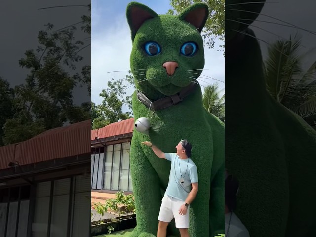 This cat is really alive! ???? #funny #cats #catvideos #tiktok  #social #usafunny #viral #america