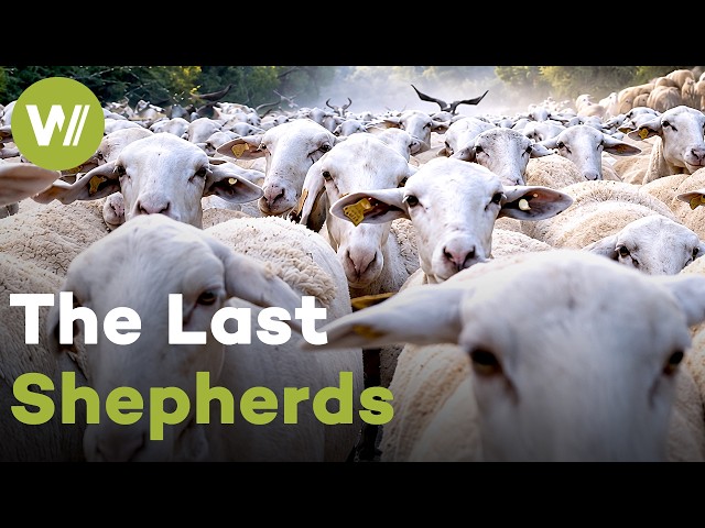 The Path of the Shepherd: Life, Family and Survival on the Farm (Documentary, 2021)