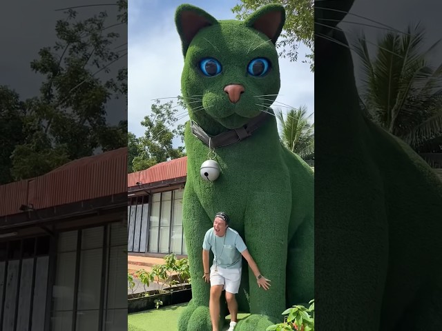 This cat is really alive! ???? #funny #cats #catvideos #tiktok #social #usafunny #catlovers #funpage