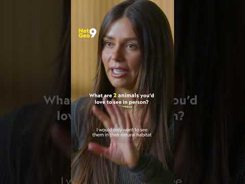 What animals does Paige Tingey want to see in the wild? #NatGeo9