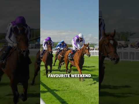 Best Weekend of the Year! | GER LYONS on the Irish Champions Festival